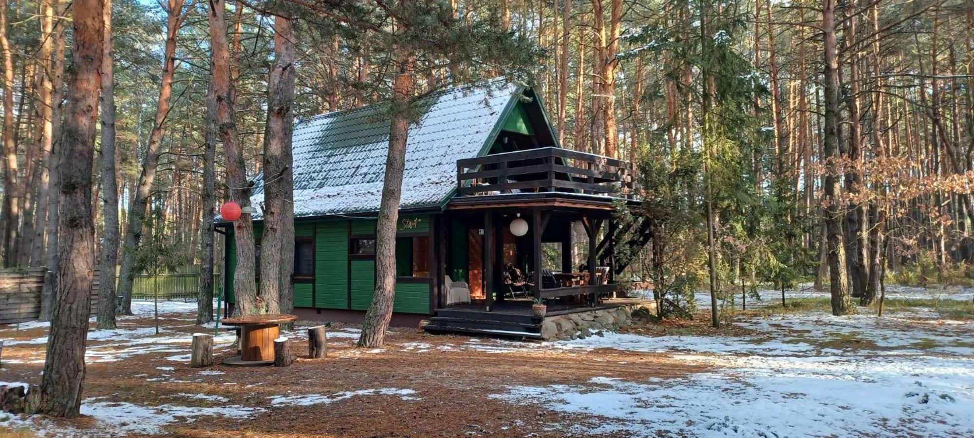 Wilga - Klimatyczny Z 2 Tarasami Holiday home Celejow (Garwolin)